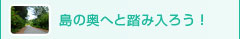 島の奥へと踏み入ろう！〜トレッキング〜