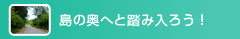 島の奥へと踏み入ろう！〜トレッキング〜