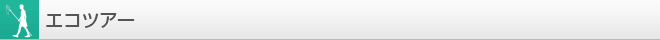 エコツアー
