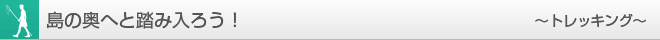 体験学習:島の奥へと踏み入ろう!〜トレッキング〜