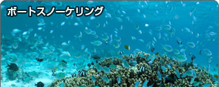 ボートスノーケリング